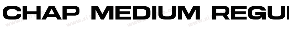 Chap Medium Regular字体转换